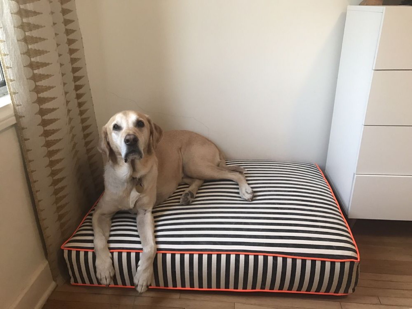 A custom striped box cushion with orange piping, made to fit a corner.